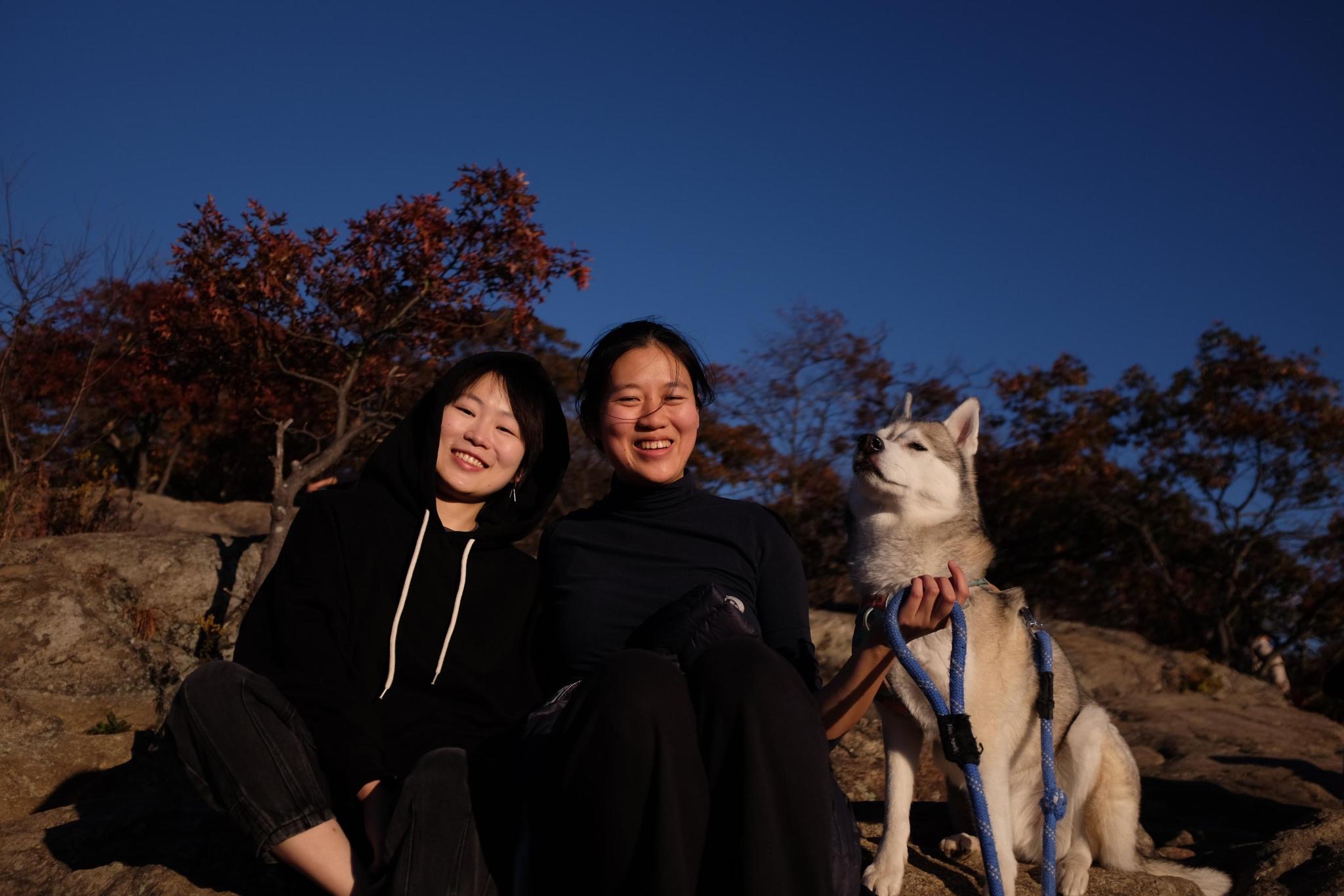 Rebecca, Iris, and Bunny the husky on a rock in autumn